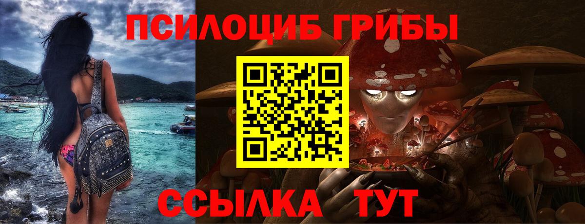 Псилоцибиновые грибы мицелий  Вход с VPN  Семёнов  Псилоцибиновые грибы Psilocybe 